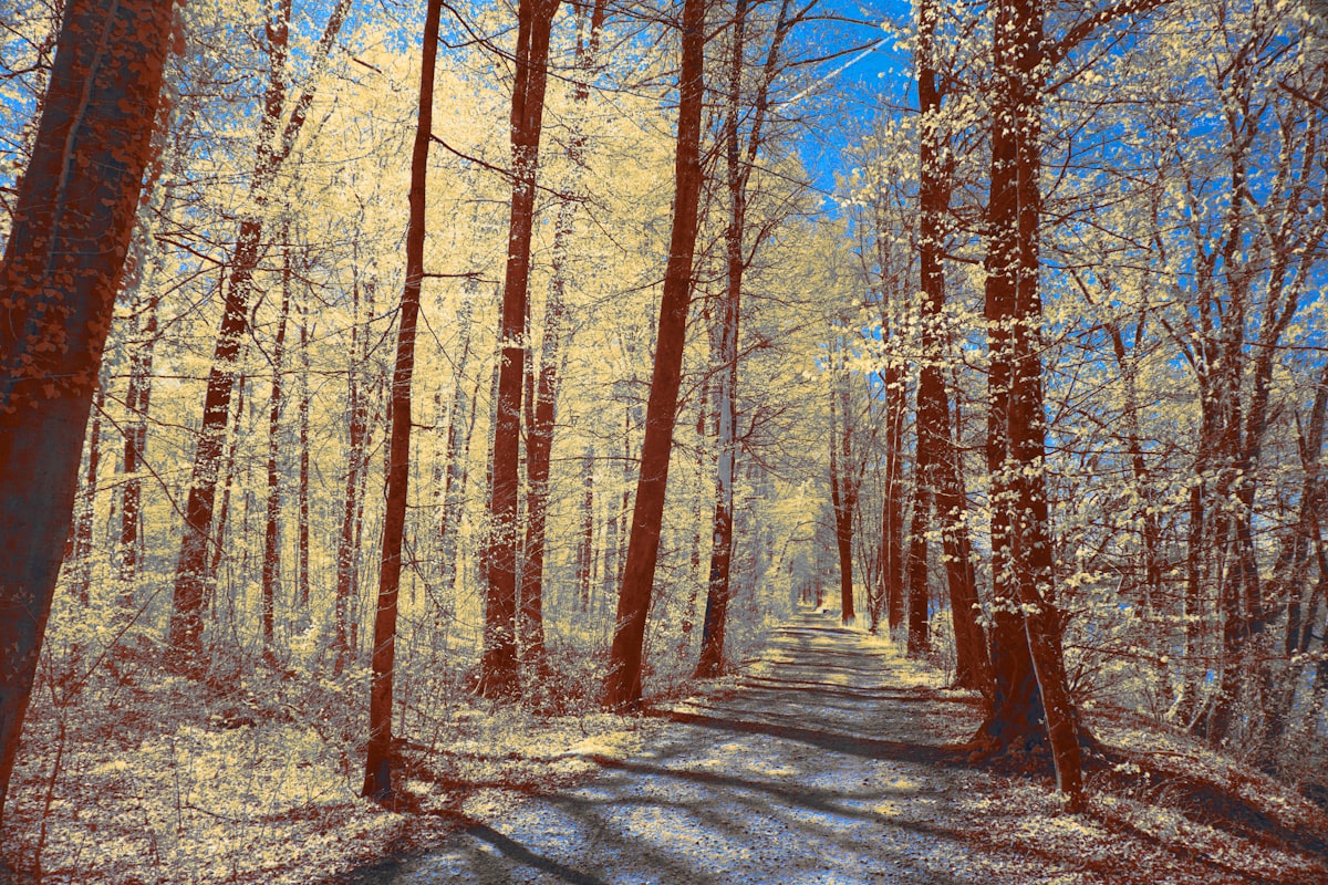 Breathing exercises for immediate stress relief